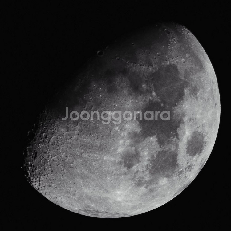 시그마 150-600 F5-6.3 C 캐논 마운트--5