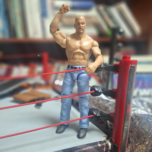 wwe. 돌깡패 스티브 오스틴 피규어