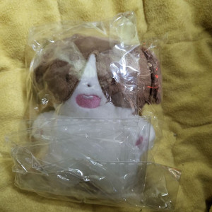 이창섭 10cm 인형 섭구리 원가 양도