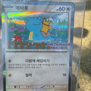 메타몽카드 구매합니다 포켓몬카드 (직거래)