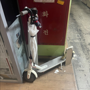 샤오미 전동킥보드