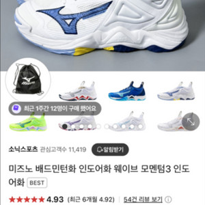 미즈노 배드민턴화 250(웨이브 모멘텀3 인도어화)