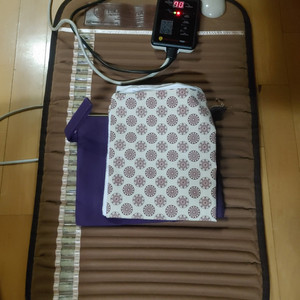 리치웨이 바이오매트 프로와 미니 매트
