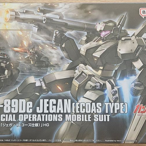 건프라 hg 에코즈 제간