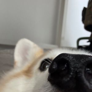릴3.0구해요