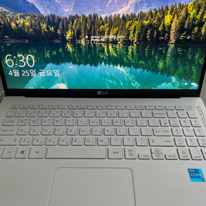 LG 그램노트북