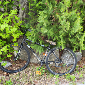 선데이 BMX자전거 대차