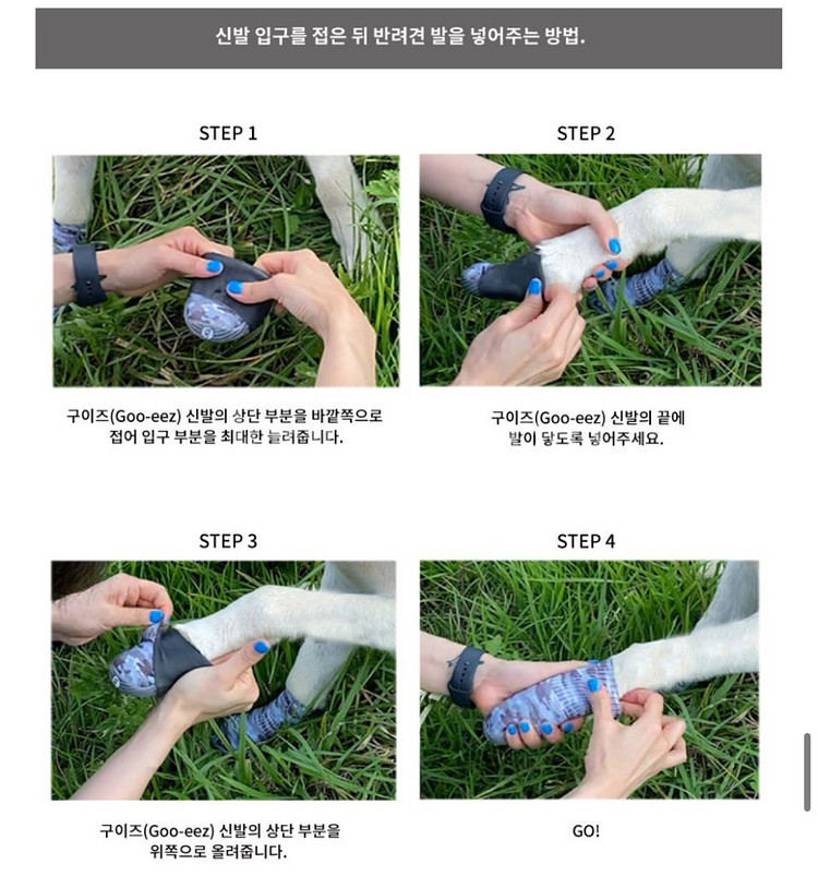 구이즈 강아지 신발, 양발, 장화 (방수, 방열)--4