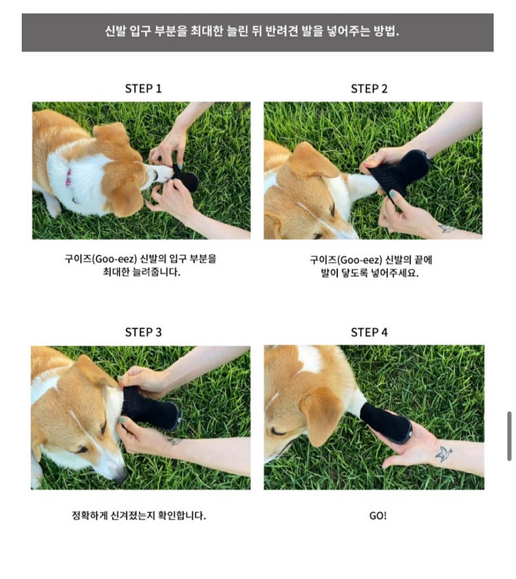 구이즈 강아지 신발, 양발, 장화 (방수, 방열)--3