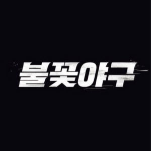 불꽃야구 4층 지정석(2연석)
