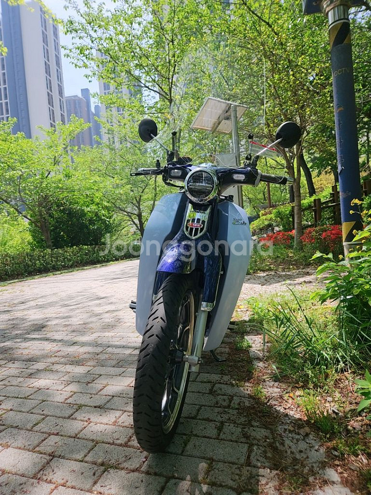 혼다 슈퍼커브125CC/20년식/29029KM/메뉴얼/--1