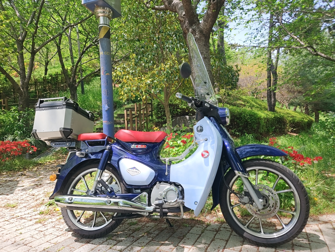 혼다 슈퍼커브125CC/20년식/29029KM/메뉴얼/