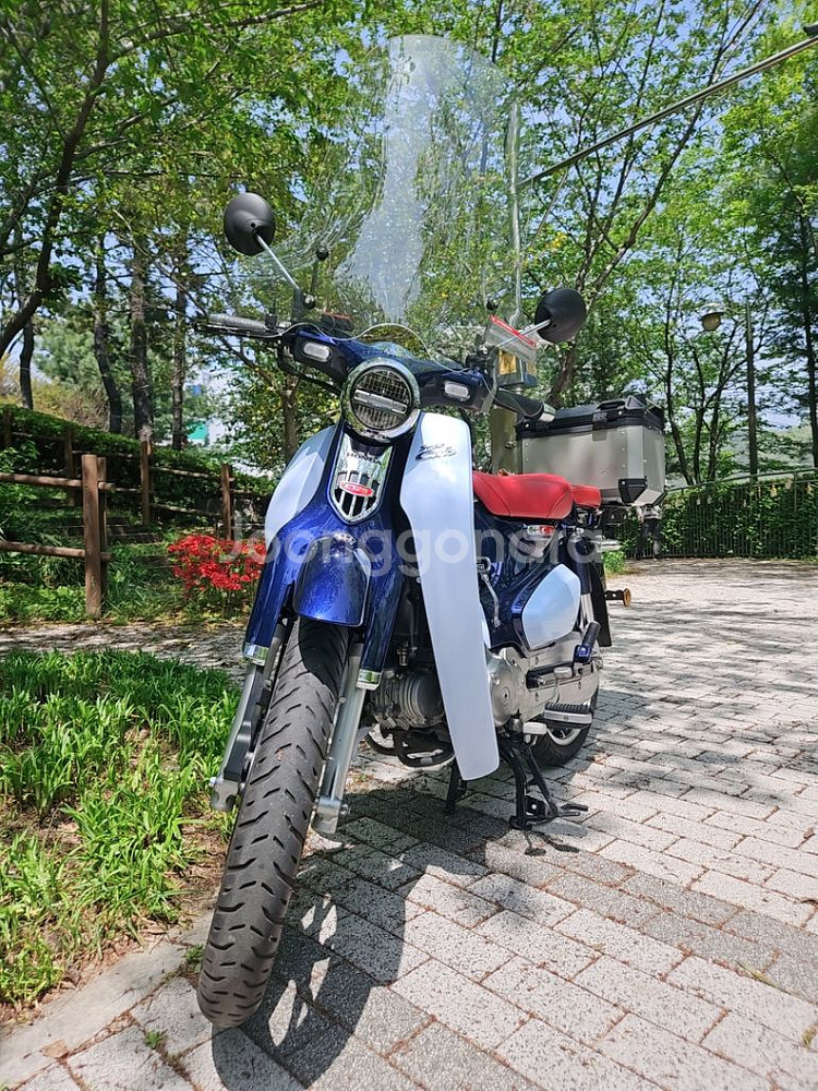 혼다 슈퍼커브125CC/20년식/29029KM/메뉴얼/--6