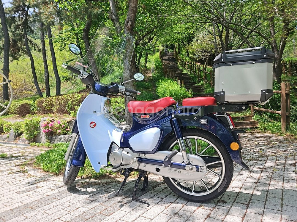 혼다 슈퍼커브125CC/20년식/29029KM/메뉴얼/--5