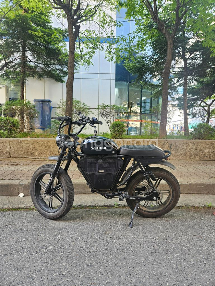 엑스라이더x200 전기자전거 자토바이--0