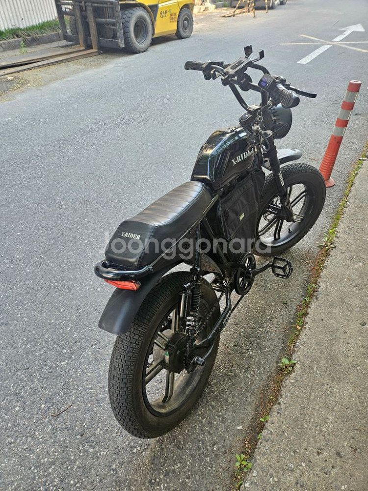 엑스라이더x200 전기자전거 자토바이--3