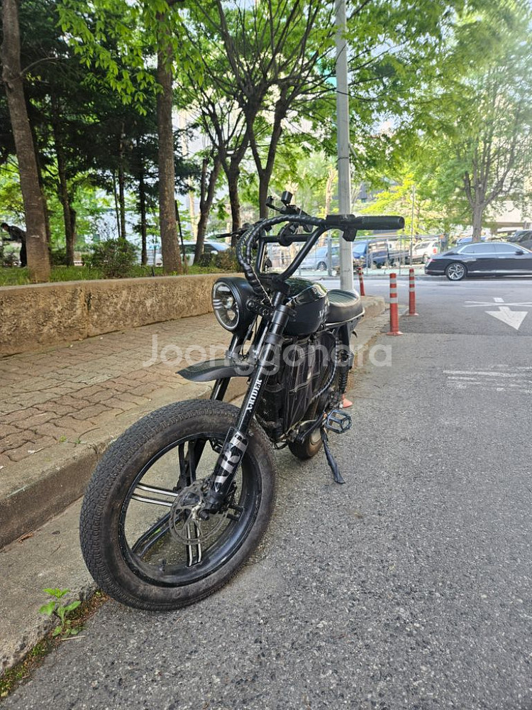 엑스라이더x200 전기자전거 자토바이--1