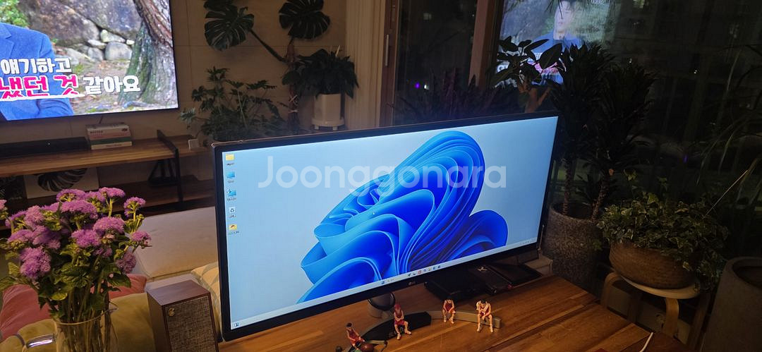 엘지 울트라와이드 모니터 34인치--1