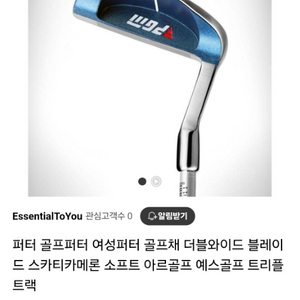골프채 치퍼 PGM