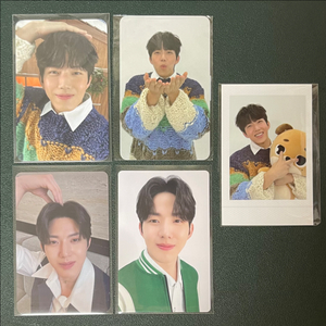데이식스 도운 포카 일괄