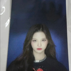설윤포카