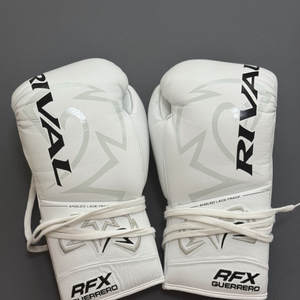 라이벌 rfx 10온스 복싱글러브
