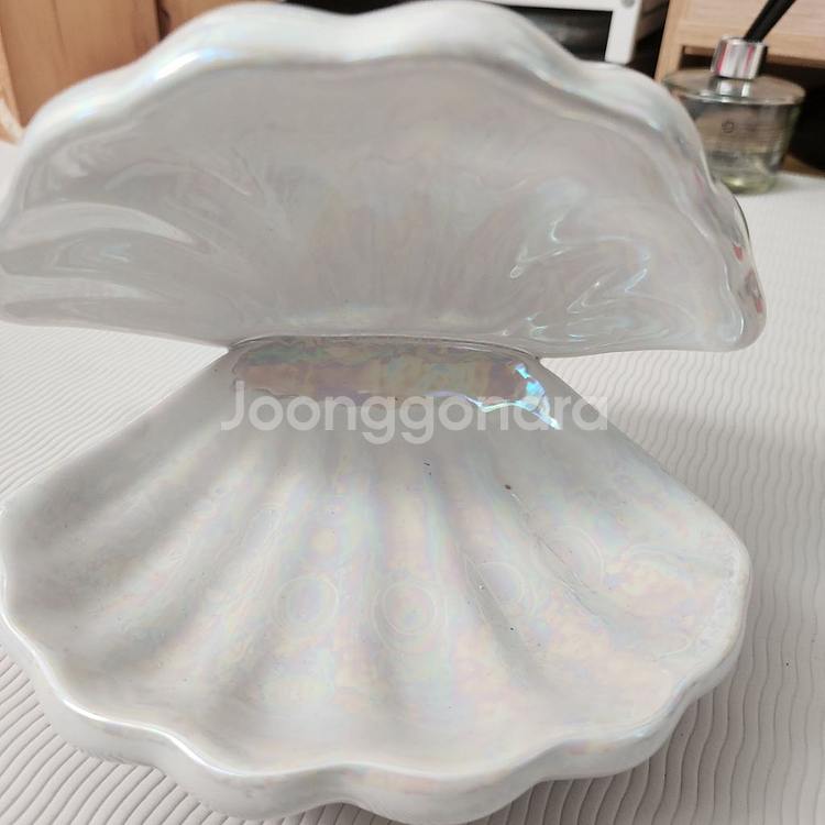 인테리어 조개 오브제(반값포함)--1