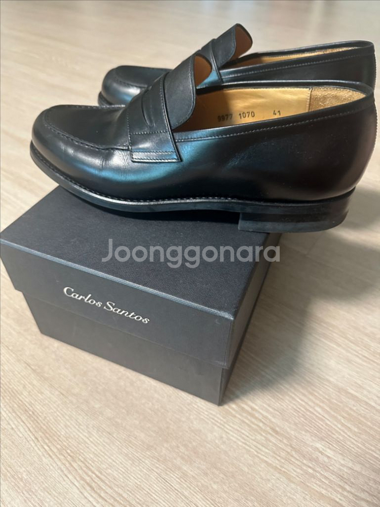 카를로스 산토스 9977 Anilina 100 로퍼--2