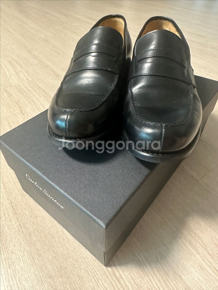 카를로스 산토스 9977 Anilina 100 로퍼--3