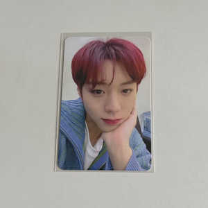 박지훈 디앤써 THE ANSWER 블루드림미디어 포카