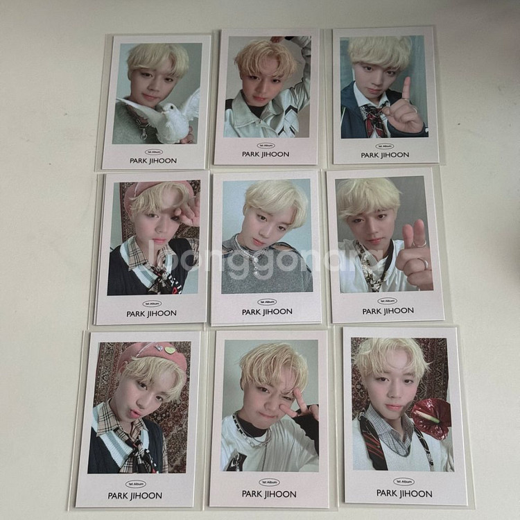 박지훈 1집 메세지 포카--0