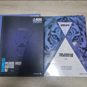 백호 생명 개념완성 섬개완 상크스 일괄