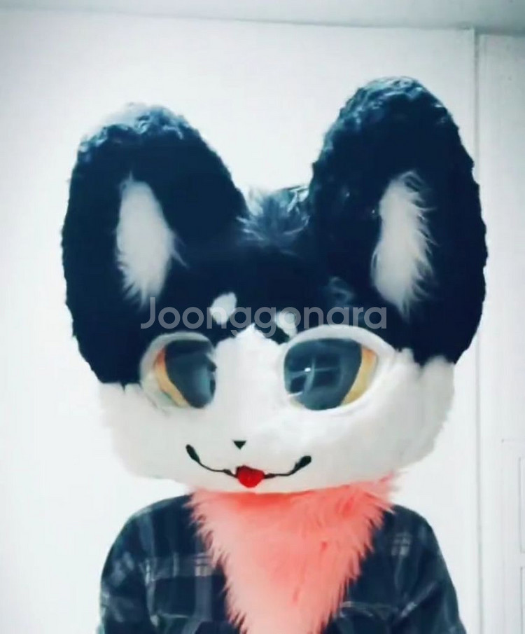 고양이 퍼슈트--0