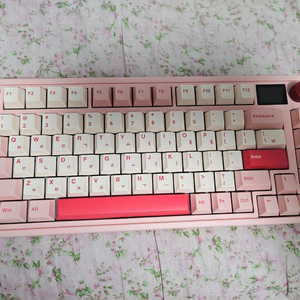 FL-ESPORTS CMK75 유무선 기계식 키보드