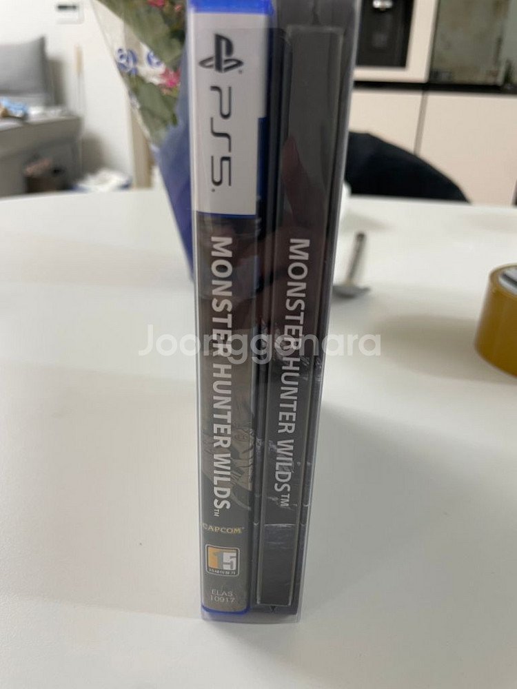 PS5 몬스터헌터 와일즈 초회판--1