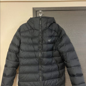 아크테릭스 토륨 L 검정