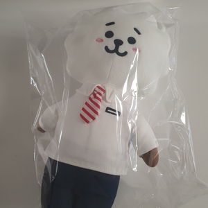 RJ 스쿨룩 인형 방탄소년단 진 김석진 BTS BT21