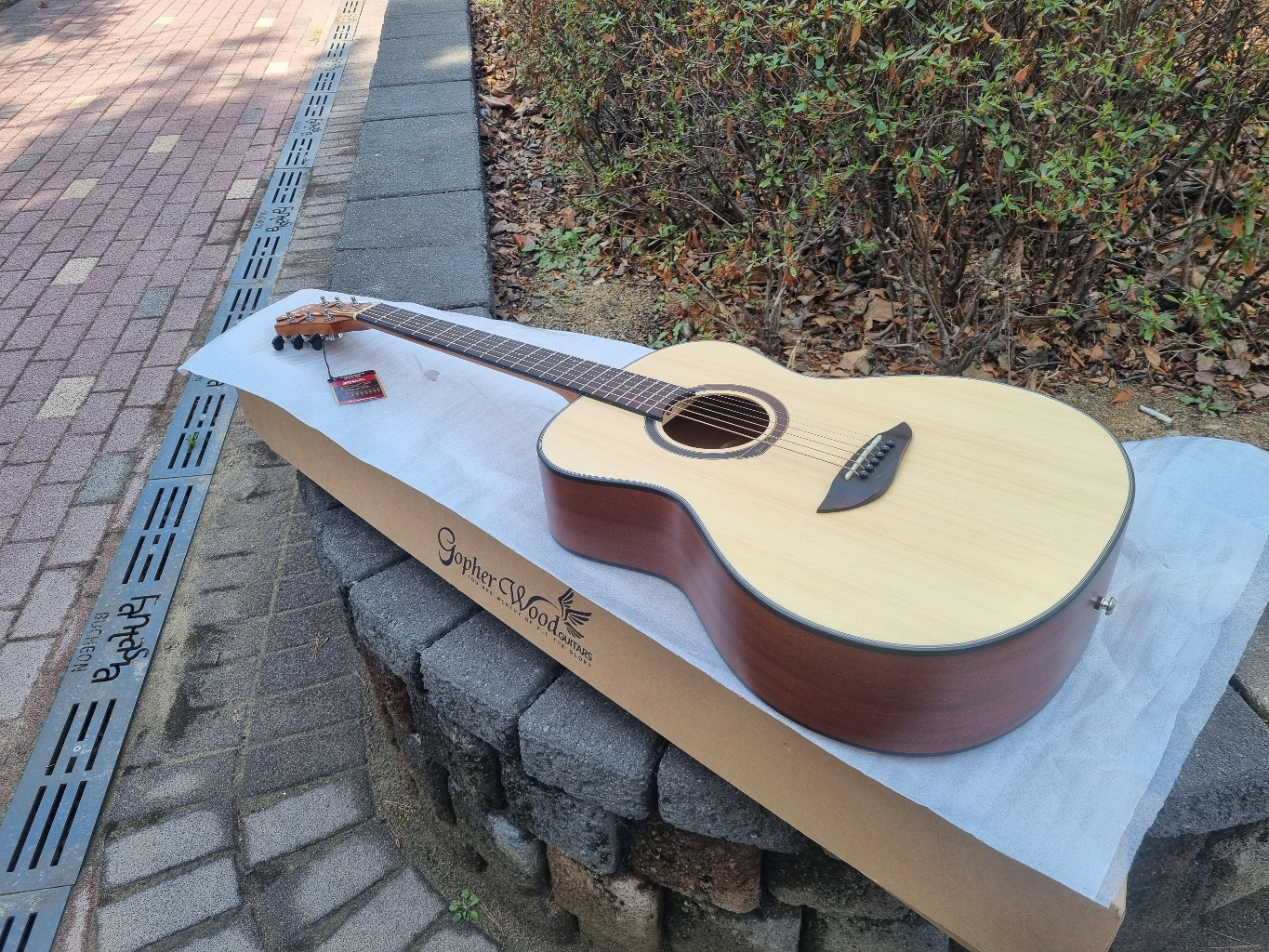 [전시품 30% 할인] 입문용 국민통기타 고퍼우드