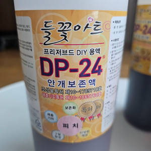 안개꽃 프리저브드용액