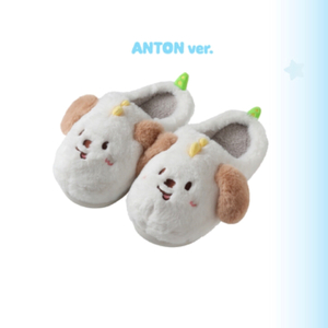 WE LITTLE RIIZE 앤톤 멍룡이 룸슈즈