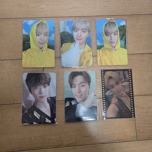 세븐틴 디노 포카