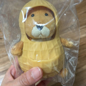 판매완료라쿠짱 땅콩개 팝니다