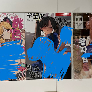블루아카이브 성인 회지 동인지 판매