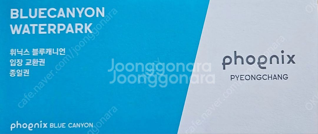 휘닉스파크 곤돌라 2장 1만 팜--0