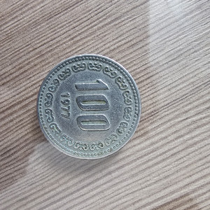 1977년 100원 동전