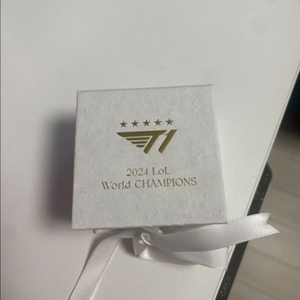 T1 롤드컵 우승 한정판 키캐