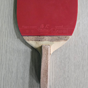 탁구라켓,다이남스페셜