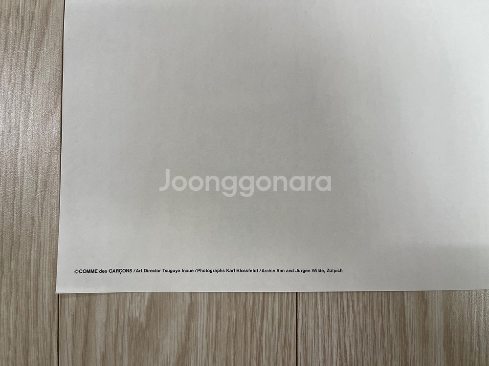 꼼데가르송 AD1989 아트 포스터 June--4