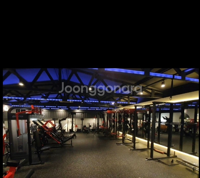 피티33회+필라30회+헬스6개월 양도--0