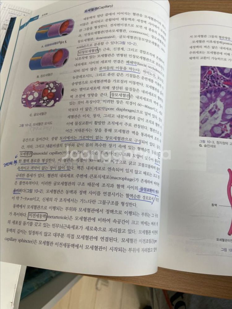임상병리학과 조직학 생리학 전공책--2